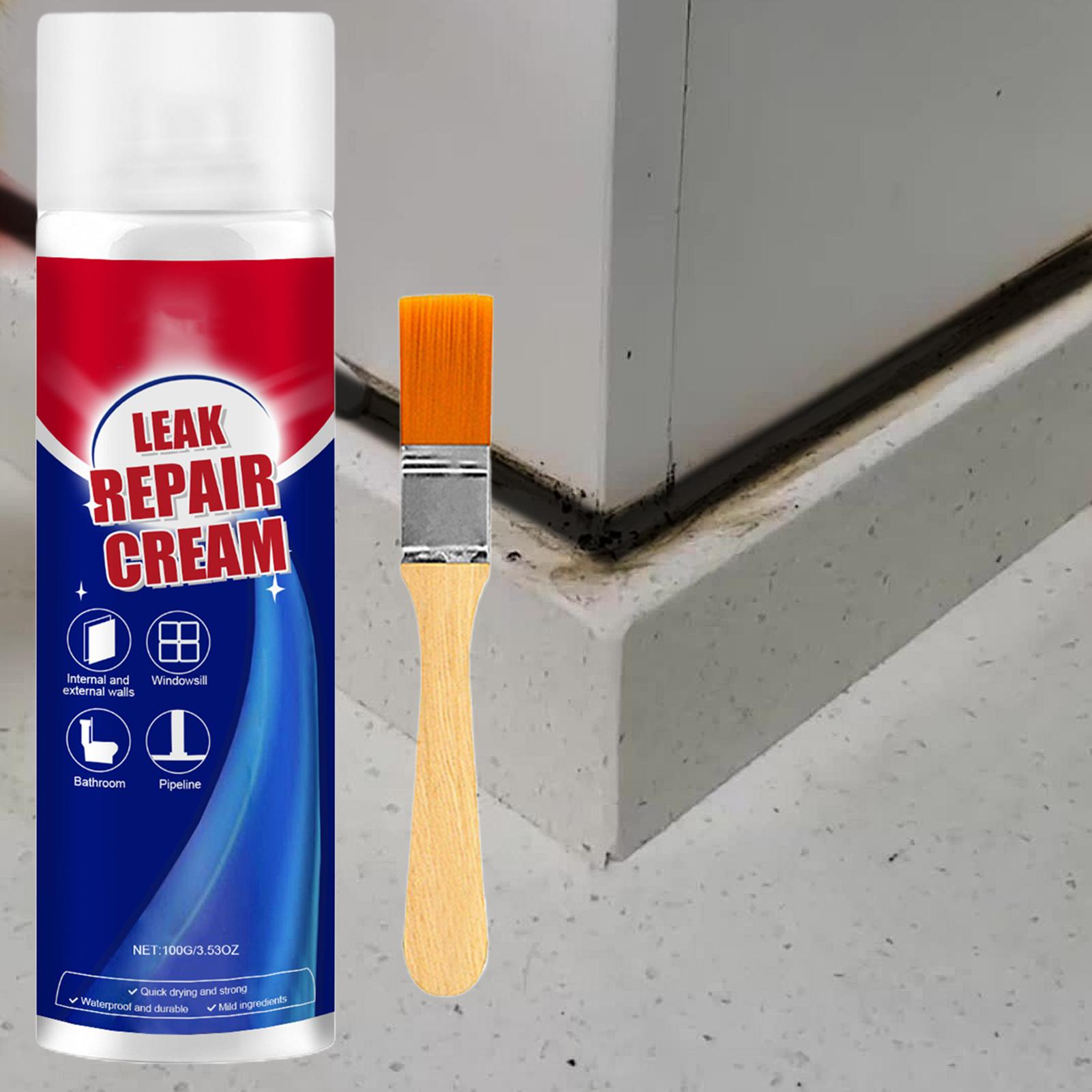 100ml Leak Repair Waterproof S - đánh giá và giá Roof Sealant Patch